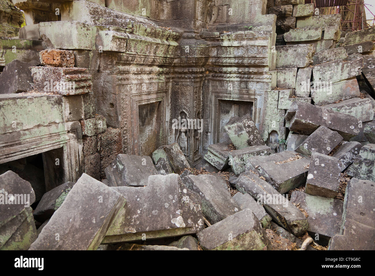 Rovine di templi, Ta Prohm, Angkor, Siem Reap Provincia, Cambogia Foto Stock
