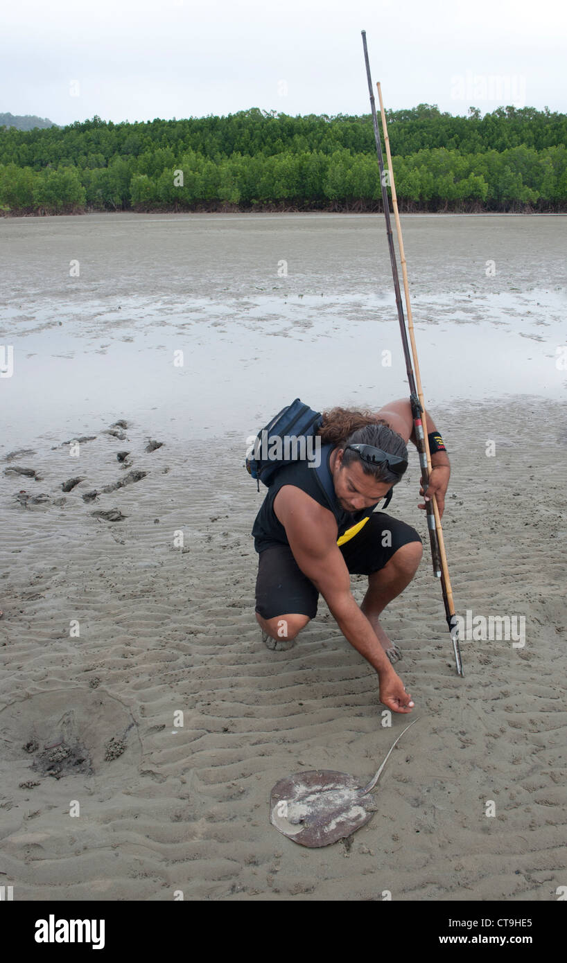 Brandon Walker del Kuku Yalanji gli aborigeni australiani indigeni offre beni culturali guidate sulle velme di Cooya Beach, QLD Foto Stock