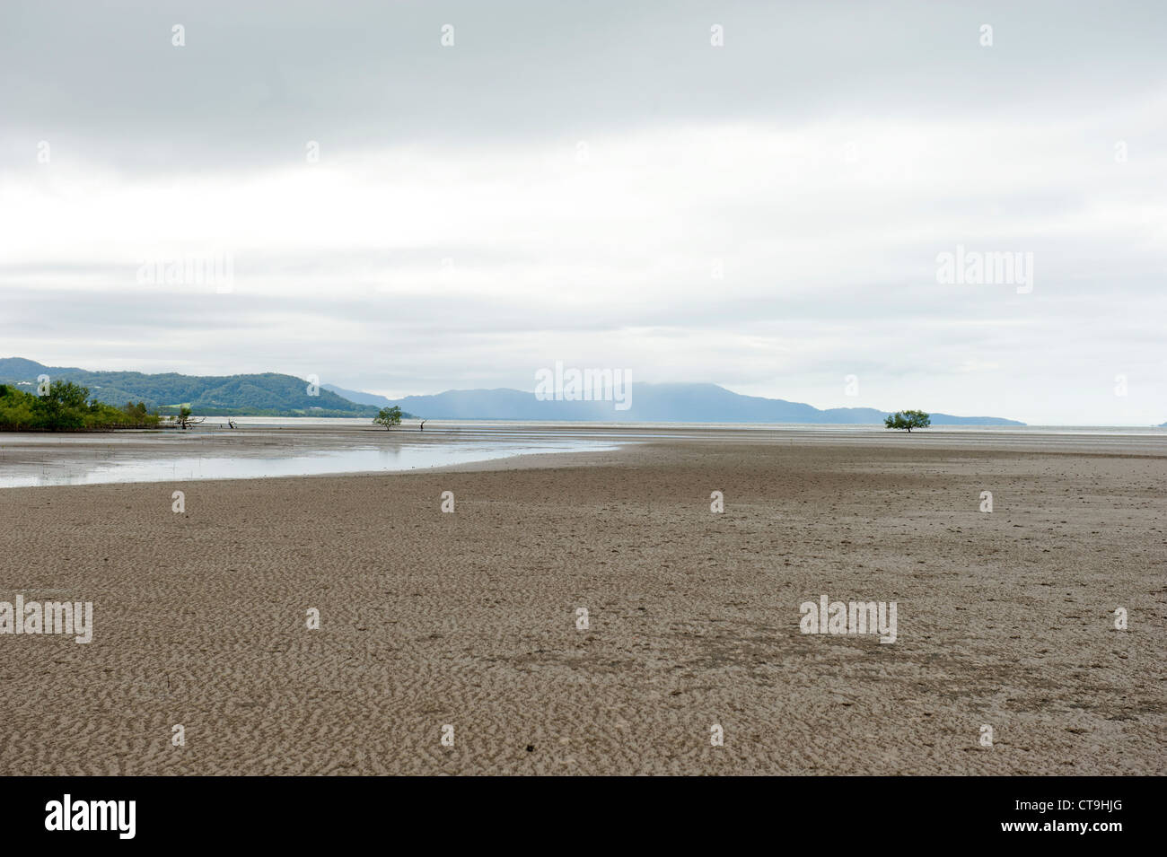 Atmosfera serale a bassa marea a Cooya Beach sul Cape York Peninsula nel lontano Nord Queensland. Foto Stock
