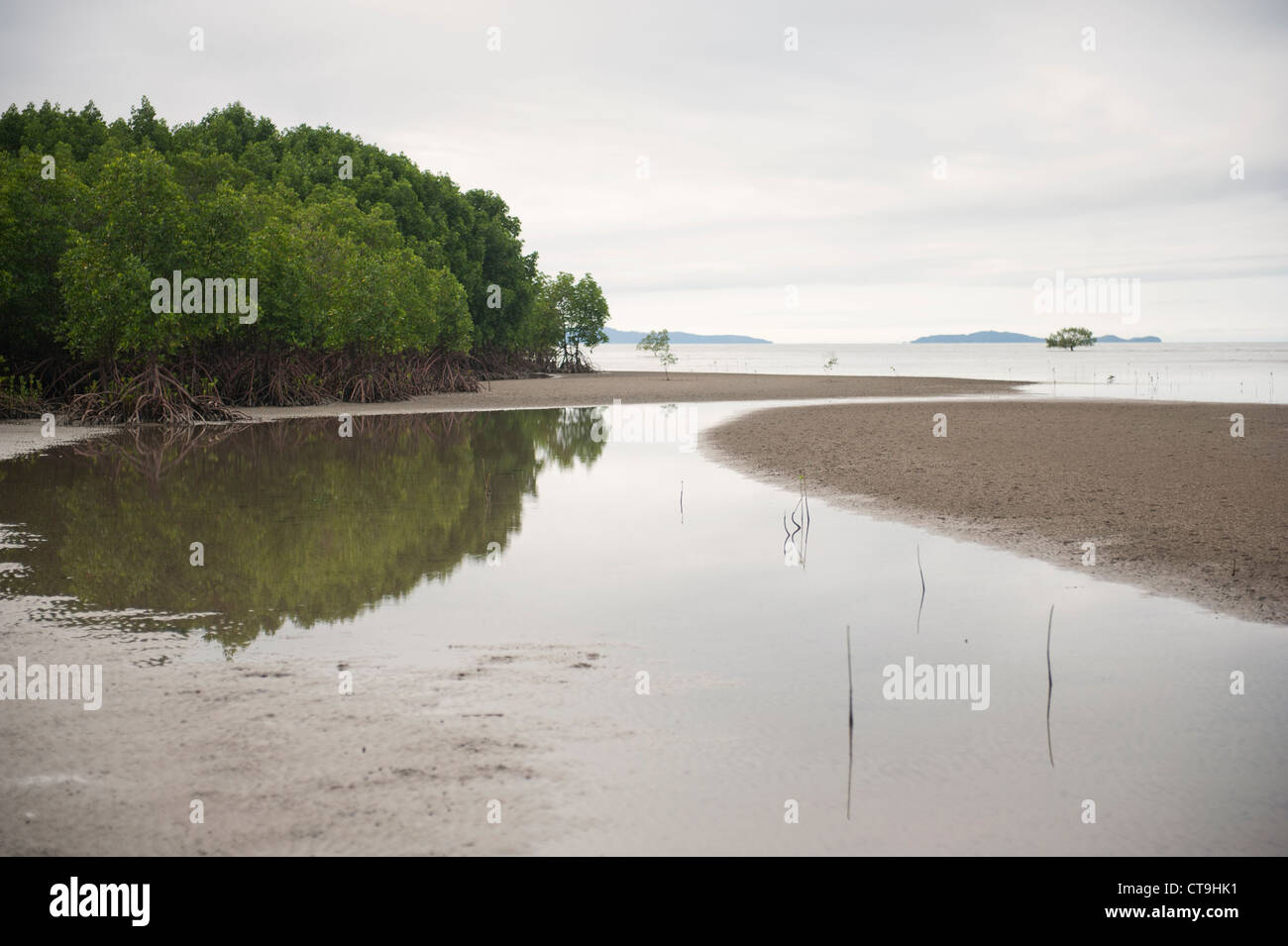 Atmosfera serale a bassa marea a Cooya Beach sul Cape York Peninsula nel lontano Nord Queensland. Foto Stock