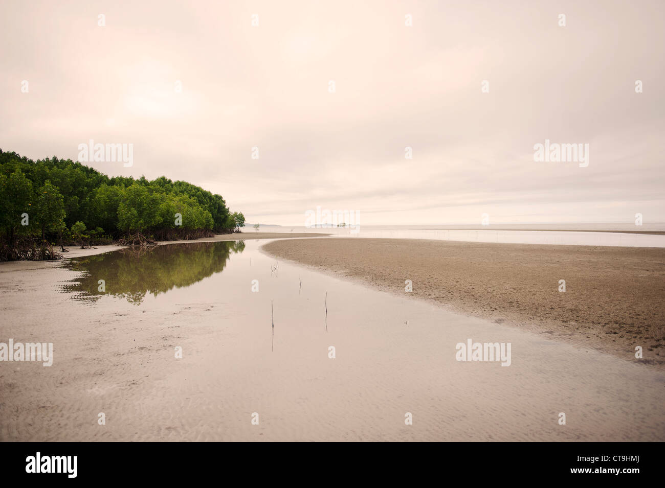 Atmosfera serale a bassa marea a Cooya Beach sul Cape York Peninsula nel lontano Nord Queensland. Foto Stock