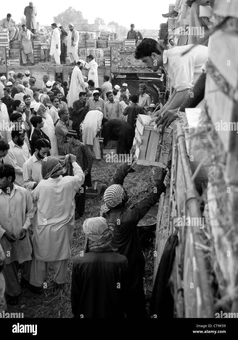 I rivenditori di frutta auction off la loro buona nel mercato della frutta di Islamabad Foto Stock