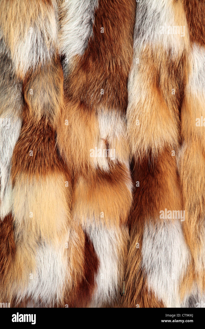 Close up di un giubbotto di pelliccia in un negozio di articoli da regalo nella crusca, Transilvania, Romania Foto Stock