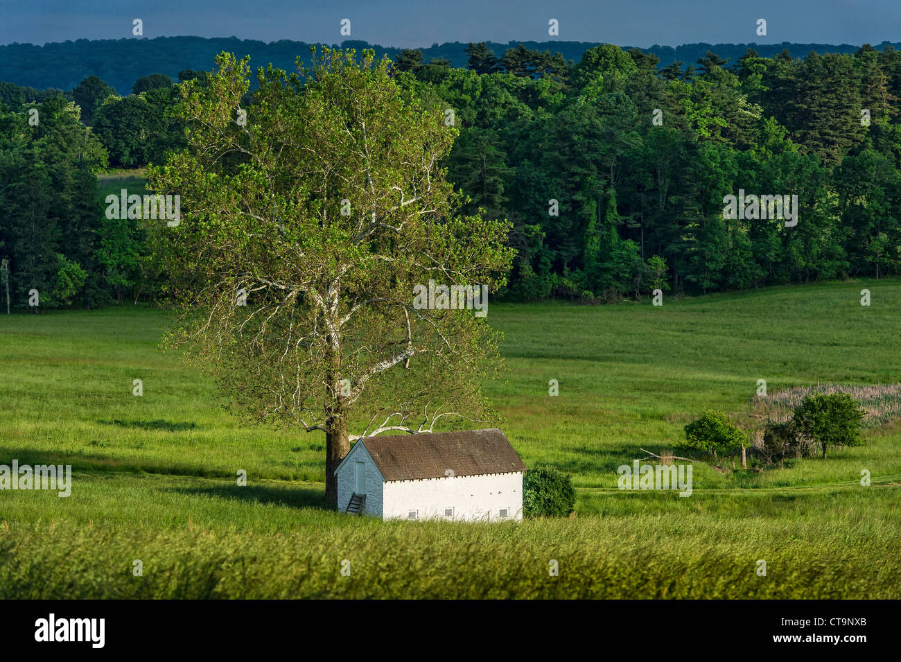Molla rurale casa nel lussureggiante paesaggio pastorale, Chester County, Pennsylvania, STATI UNITI D'AMERICA Foto Stock