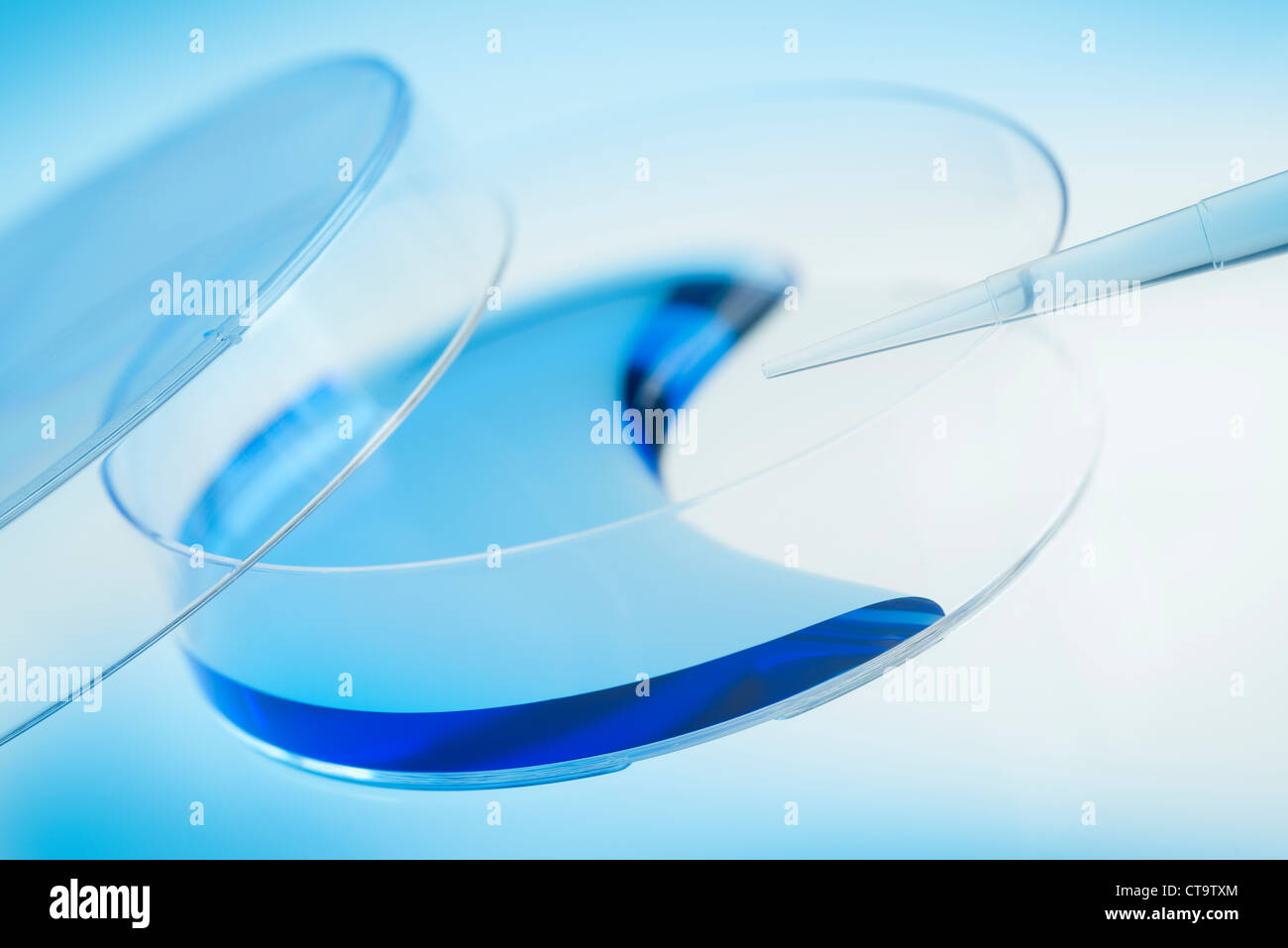 Monouso di piastre Petri contenenti un blu sostanza chimica. Foto Stock
