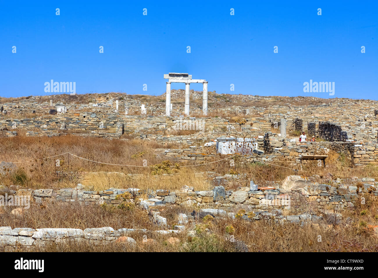 Sito archeologico di Delos, Cicladi Grecia Foto Stock