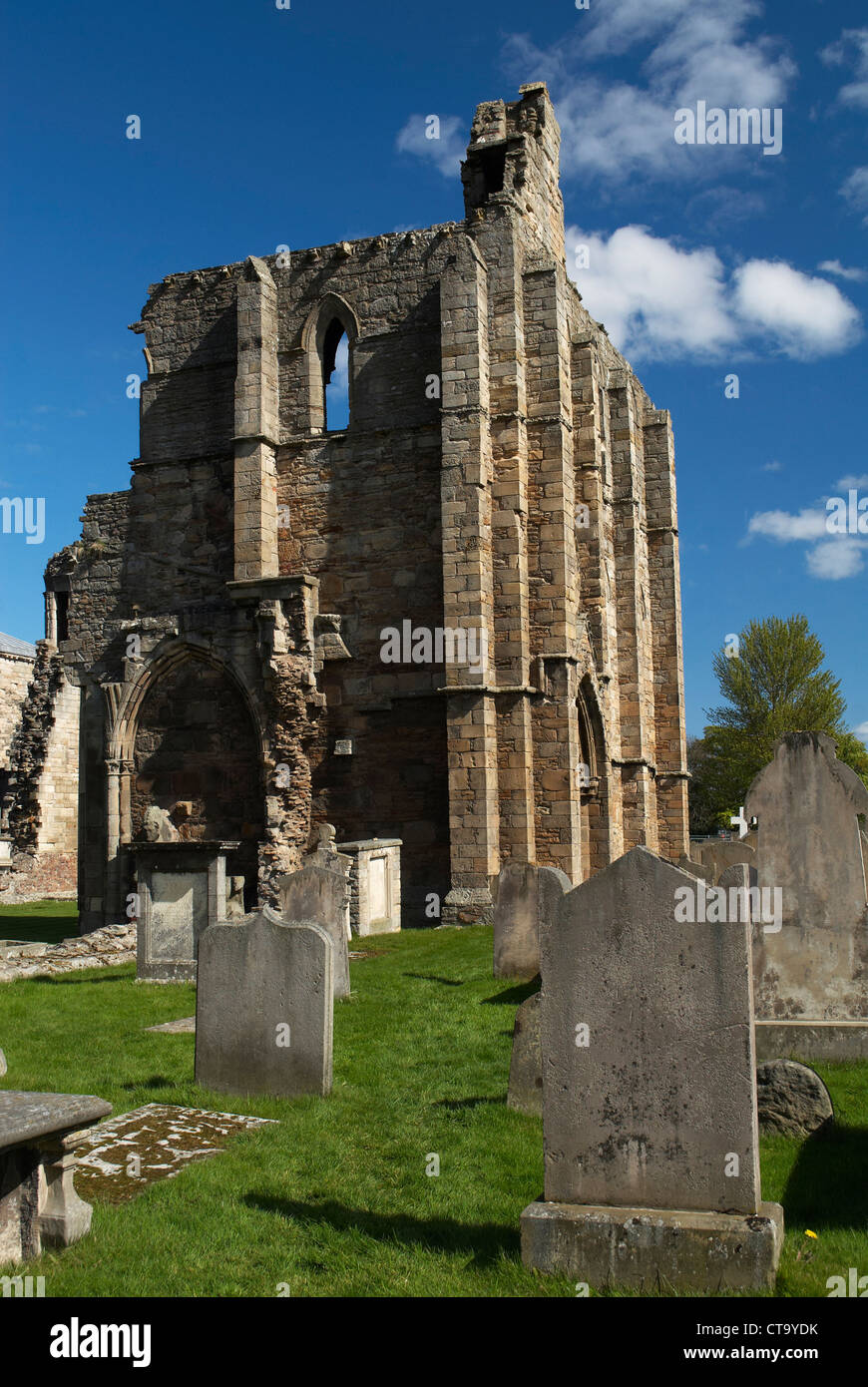 Elgin Cathedral dal cimitero Foto Stock