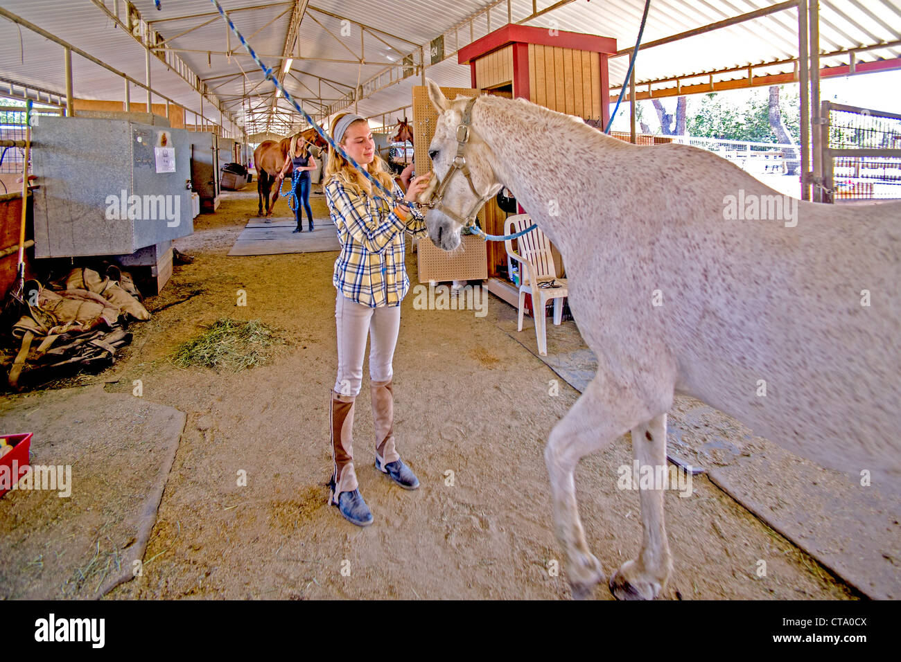 Teen girl 4-H i soci del Club la cura per i loro cavalli a una stabile equestre nel Coto de Caza, CA. Foto Stock