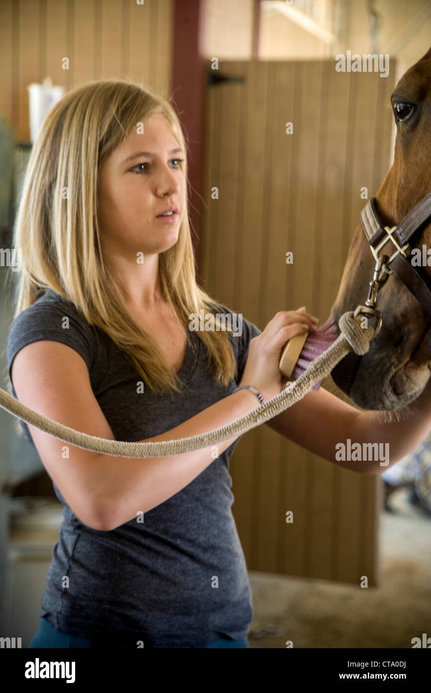 Un 4-H Club teen ragazza stati di cure per il suo cavallo a un stabile equestre nel Coto de Caza, CA. Foto Stock