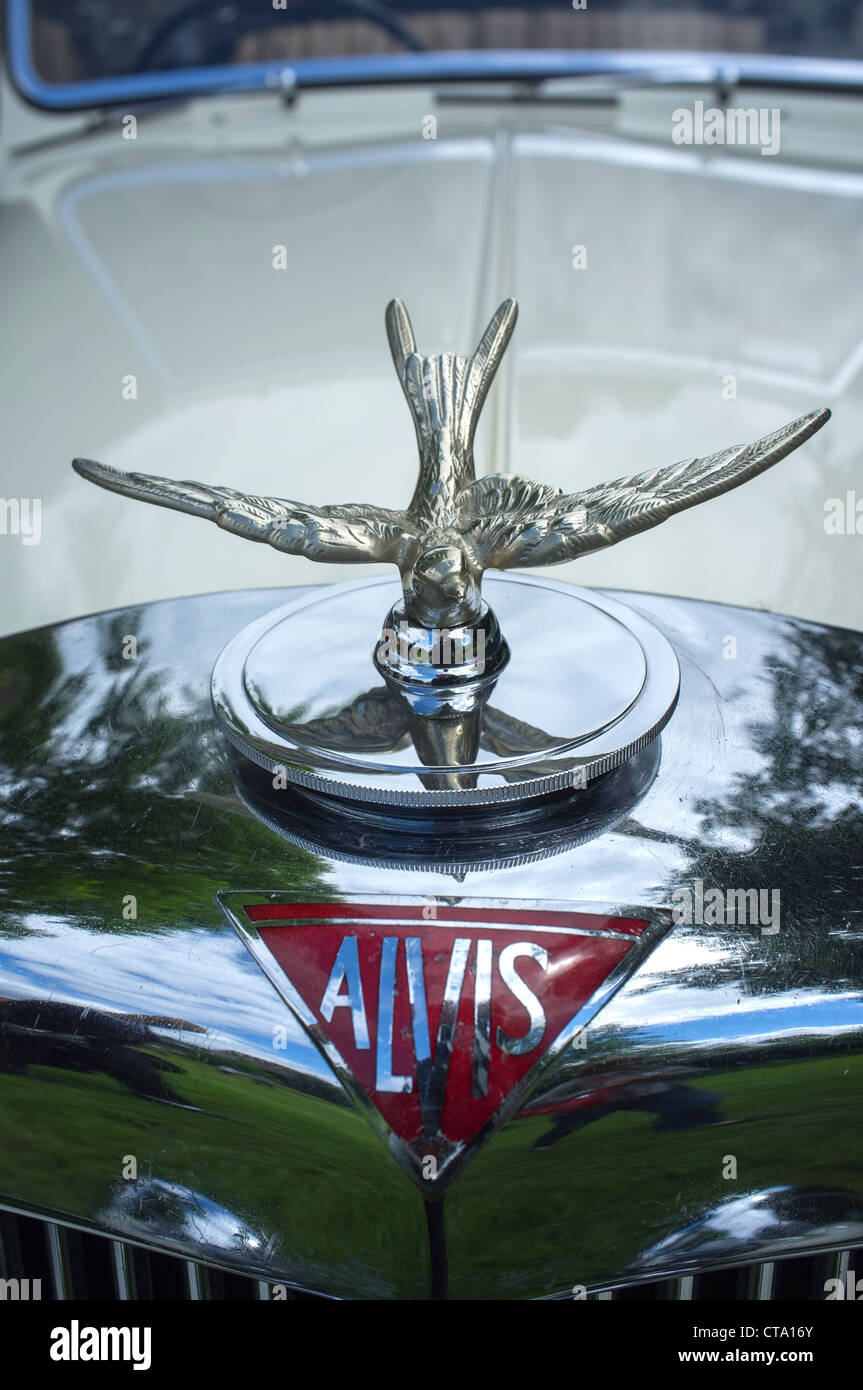 Swallow mascotte insegne sul Alvis auto d'Epoca Foto Stock