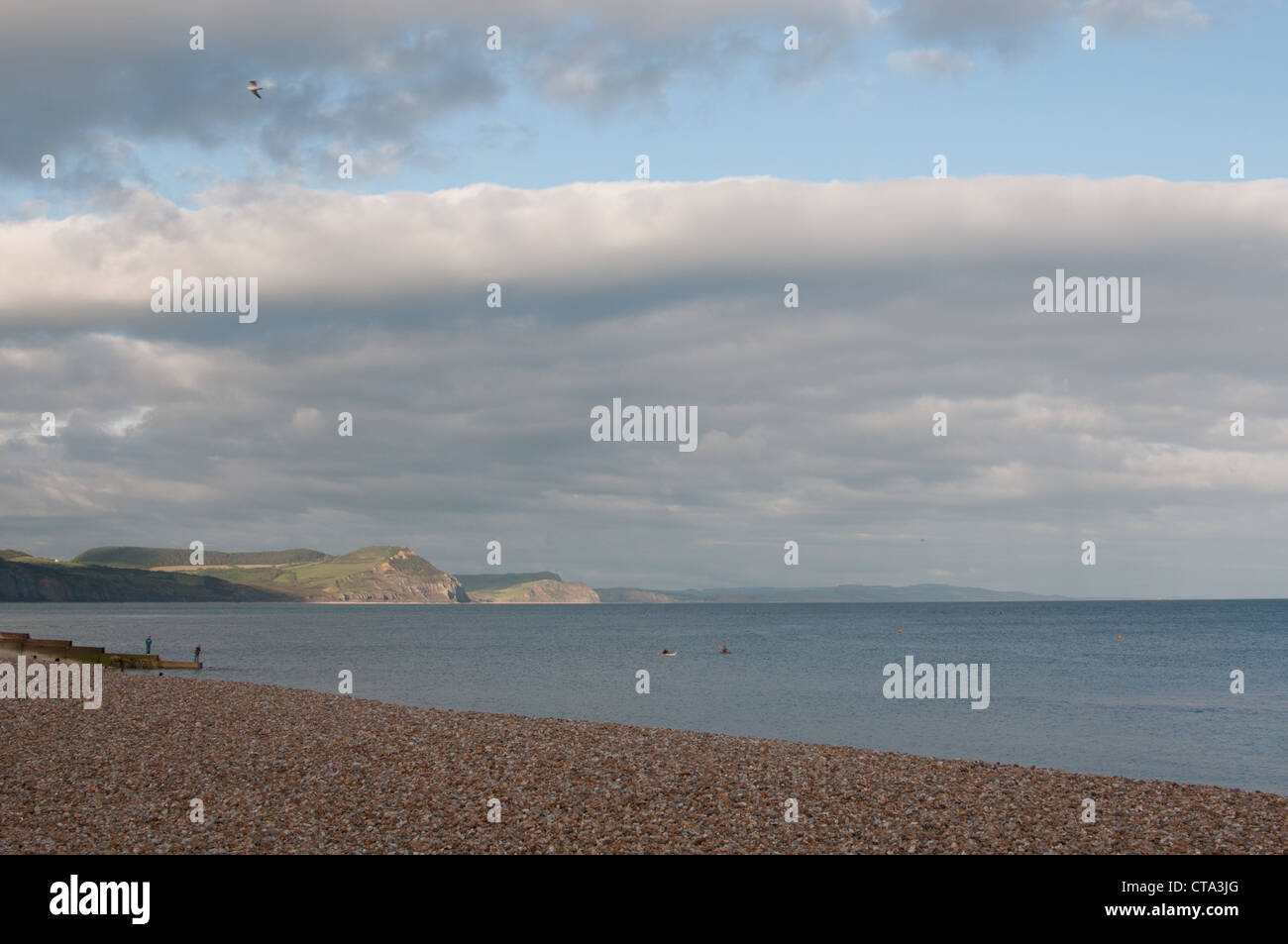Spiaggia a Lyme Regis Dorset Regno Unito Foto Stock