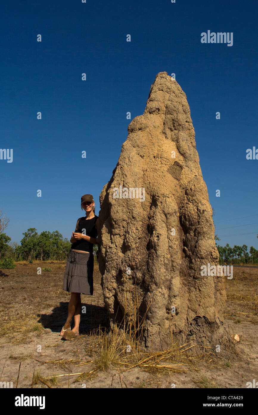 Termite gigante tumuli, Parco Nazionale Kakadu, Territorio del Nord Australia Foto Stock