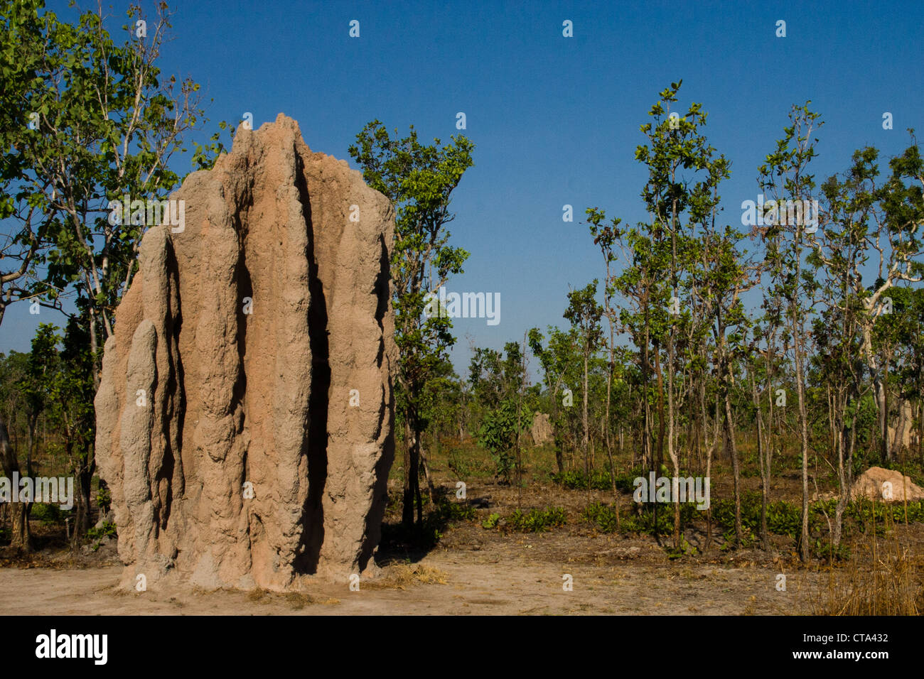 Termite gigante tumuli, Parco Nazionale Kakadu, Territorio del Nord Australia Foto Stock