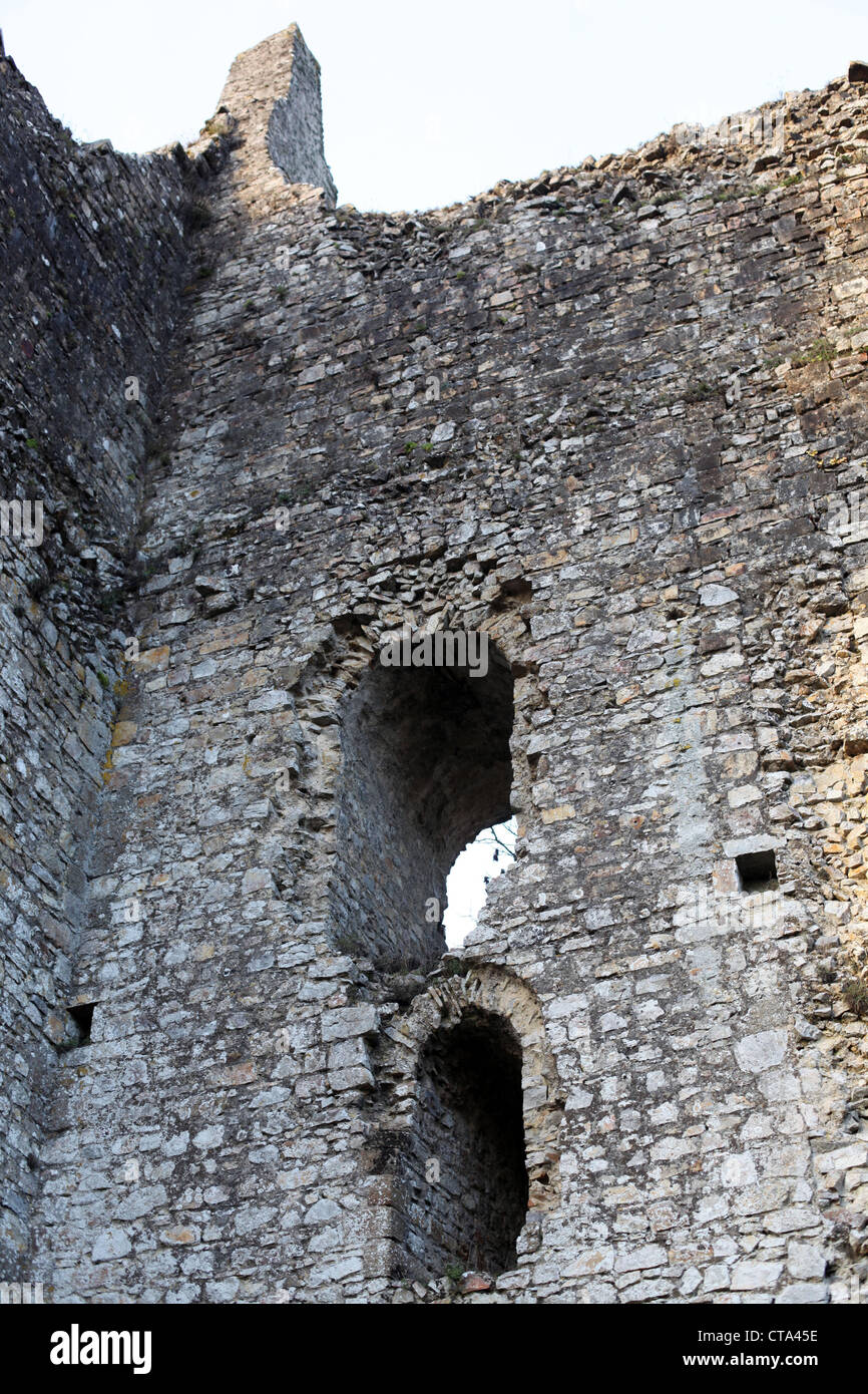 Si tratta di una foto di un dettaglio del castello di Domfront in Normandia, a nord-ovest della Francia in campagna. è in rovina la pietra Foto Stock