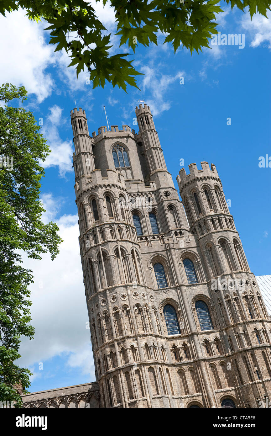 Cattedrale di Ely, Cambridgeshire, Inghilterra Foto Stock
