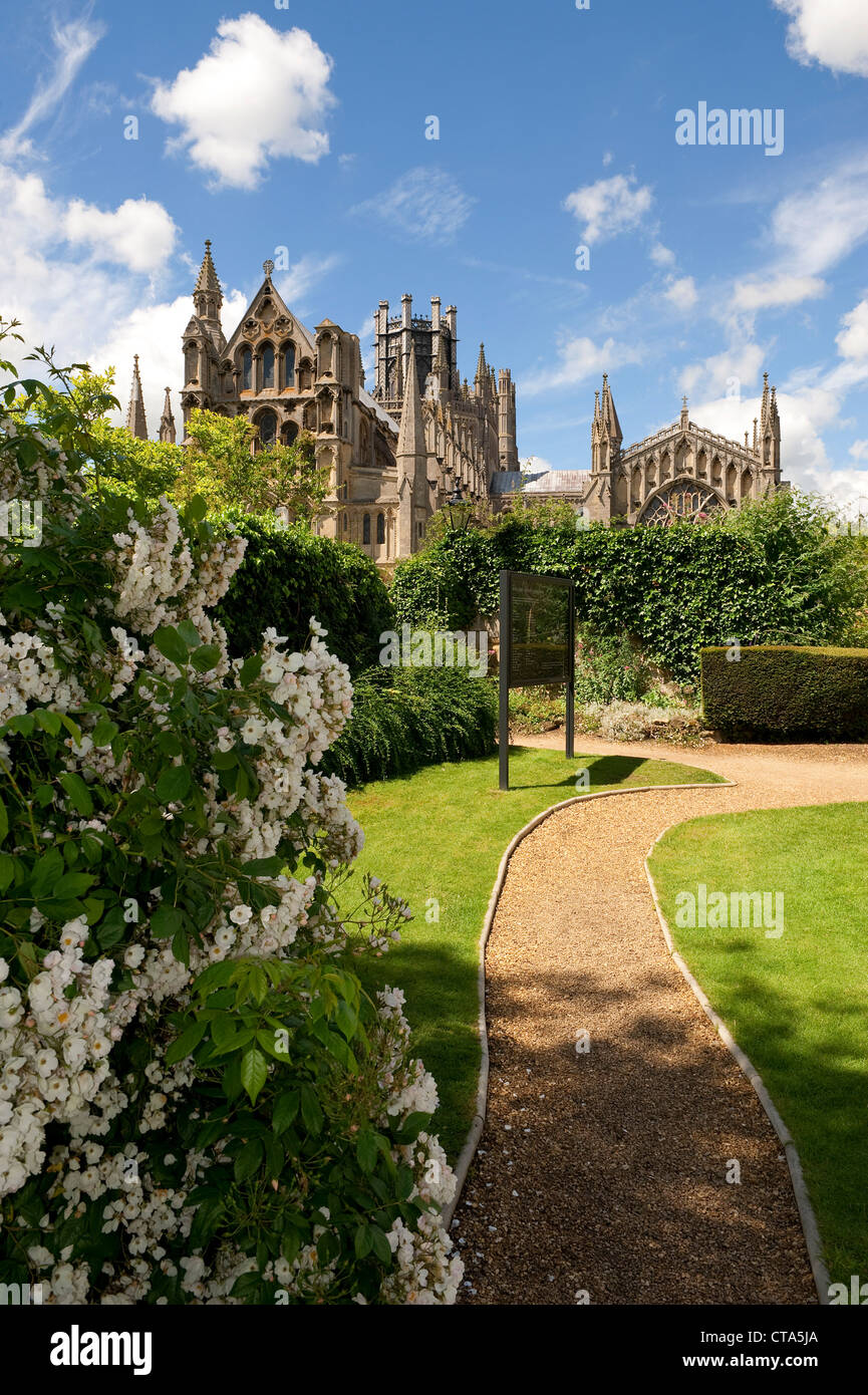 Cattedrale di Ely, Cambridgeshire, Inghilterra Foto Stock