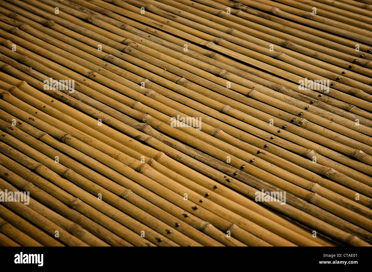 Dettaglio della superficie di bambù Foto Stock