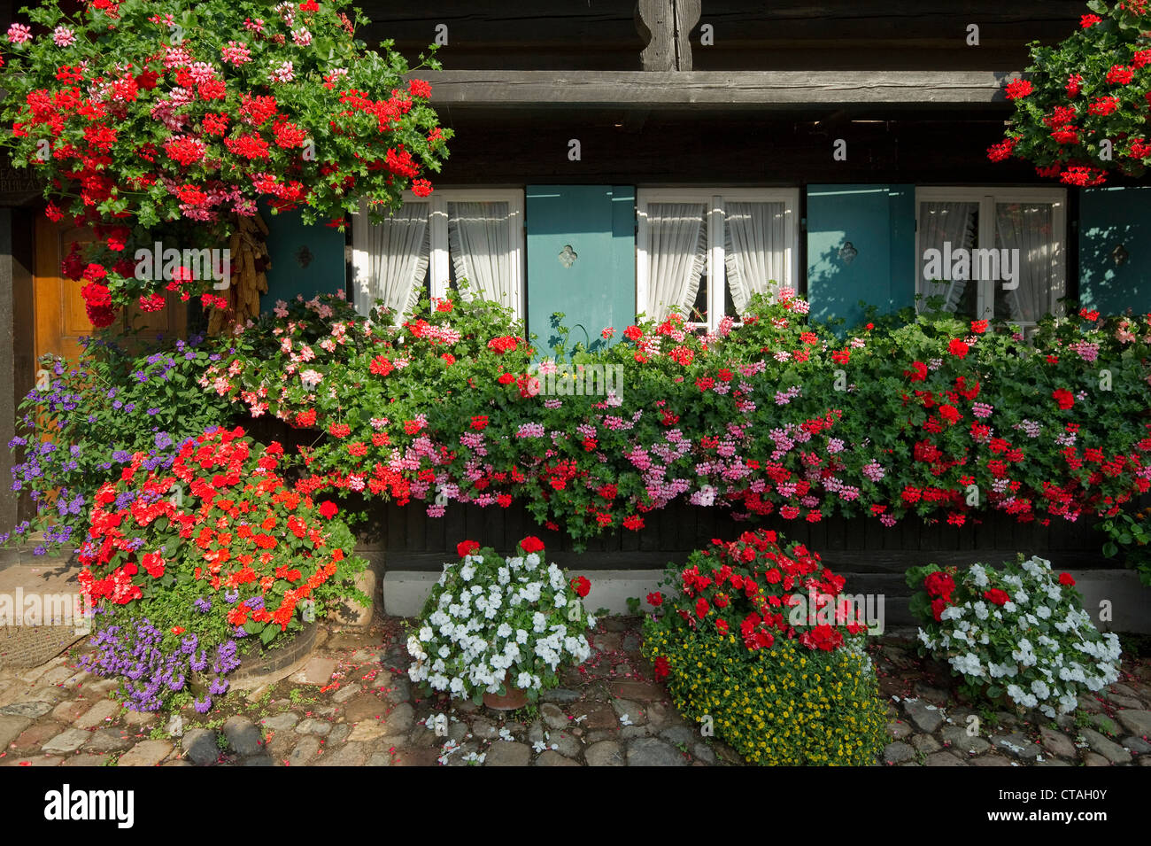 Tradizionale casa colonica con fioriere in Glottertal, Foresta Nera, Baden-Württemberg, Germania Foto Stock