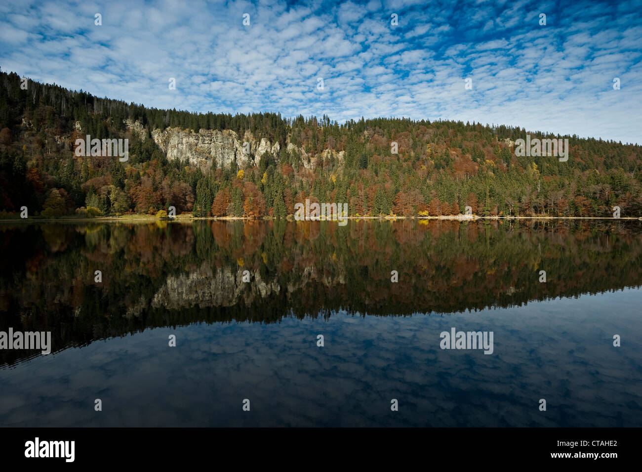 La riflessione di alberi in un lago, Feldsee Feldberg, Foresta Nera, Baden-Württemberg, Germania Foto Stock