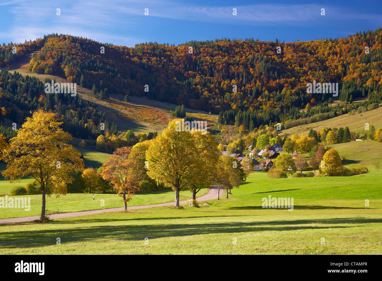 Bernau Hof in autunno, nella parte meridionale della Foresta Nera, Foresta Nera, Baden-Wuerttemberg, Germania, Europa Foto Stock