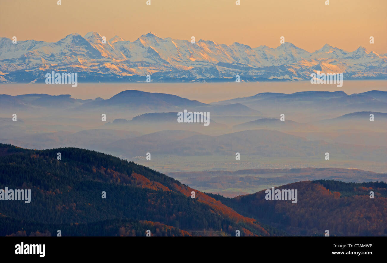 Vista dal Monte Belchen presso le alpi svizzere, in autunno, nella parte meridionale della Foresta Nera, Foresta Nera, Baden-Wuerttemberg, G Foto Stock