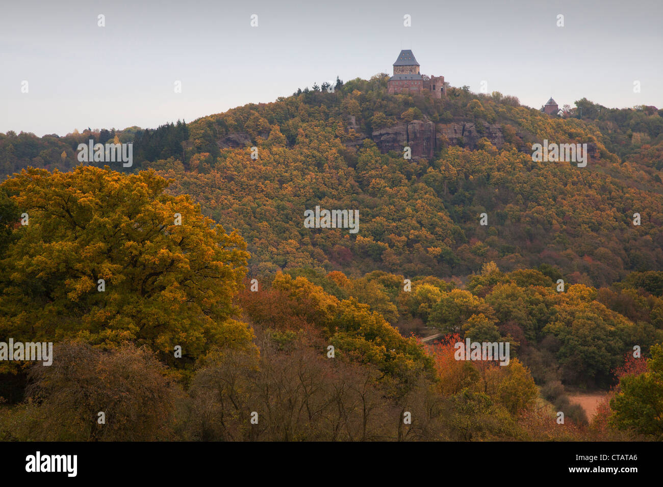 Vista del castello di Nideggen, Eifel National Park, Nord Reno-Westfalia, Germania, Europa Foto Stock