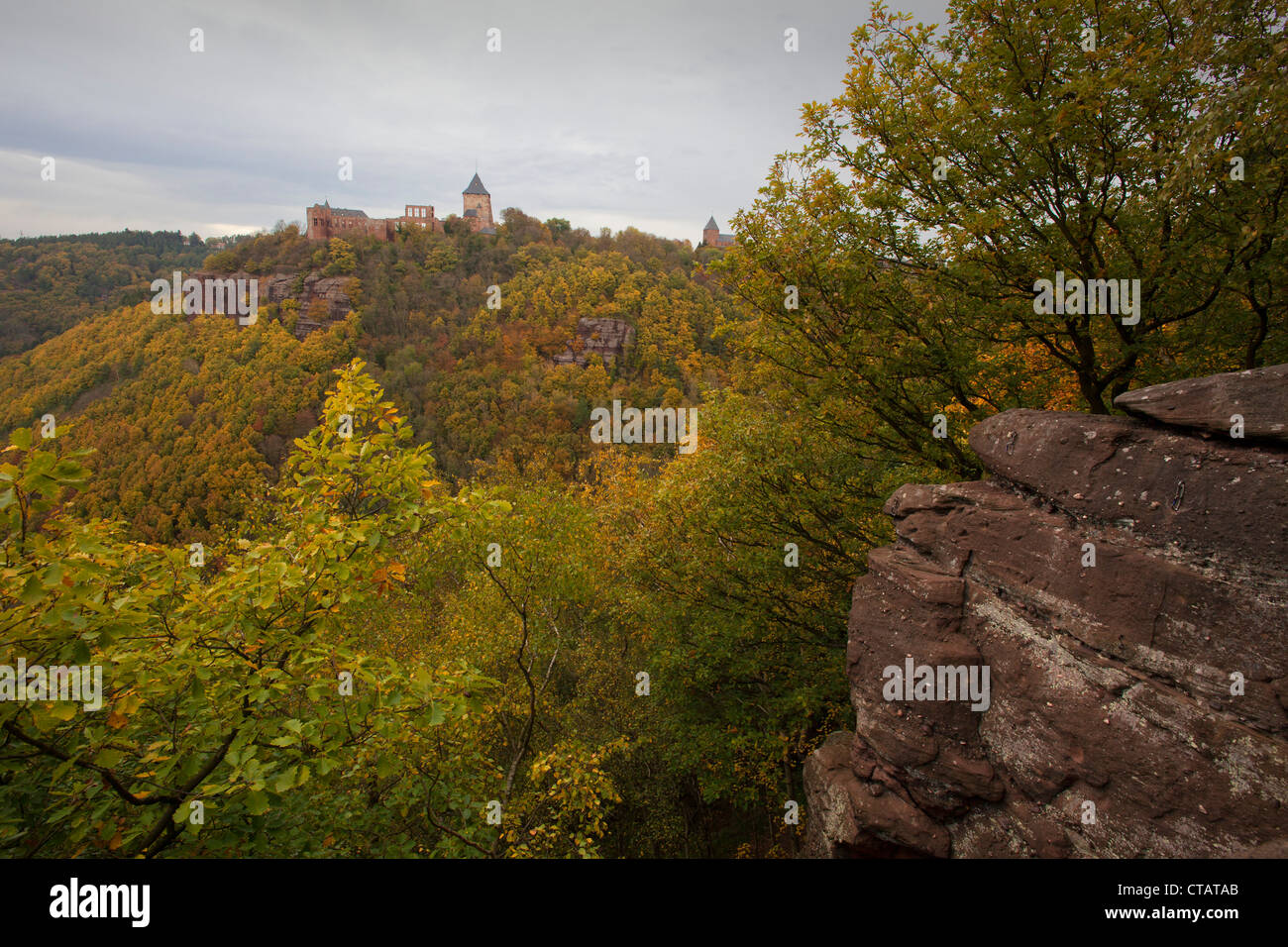 Vista del castello di Nideggen, Eifel National Park, Nord Reno-Westfalia, Germania, Europa Foto Stock