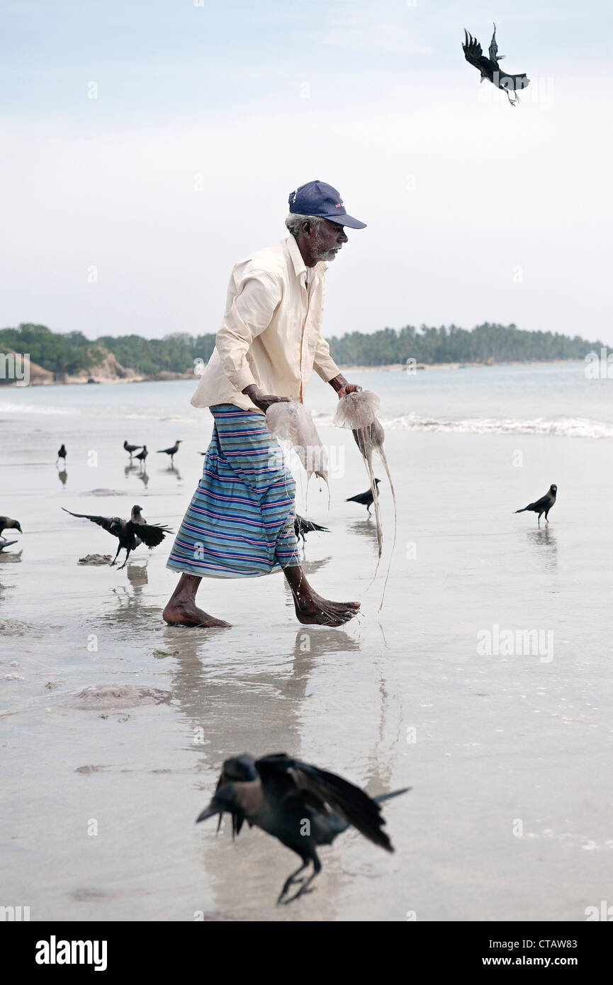 Vecchio Pescatore Tamil porta meduse torna al mare, brids, Uppuveli, provincia di tamil, Oceano indiano, Sri Lanka Foto Stock