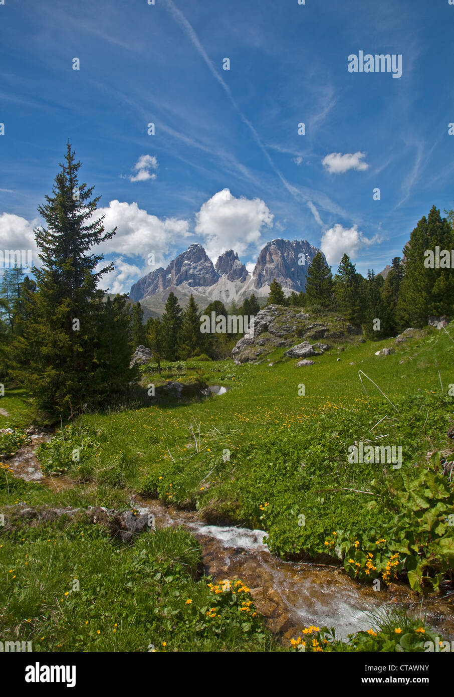 Sassolungo picchi e flusso, Passo Pordoi, Dolomiti, Italia Foto Stock