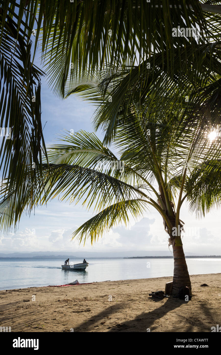 Taxi d'acqua che arrivano a stella di mare sulla spiaggia di Isla Colon, Bocas del Toro, Panama. Foto Stock