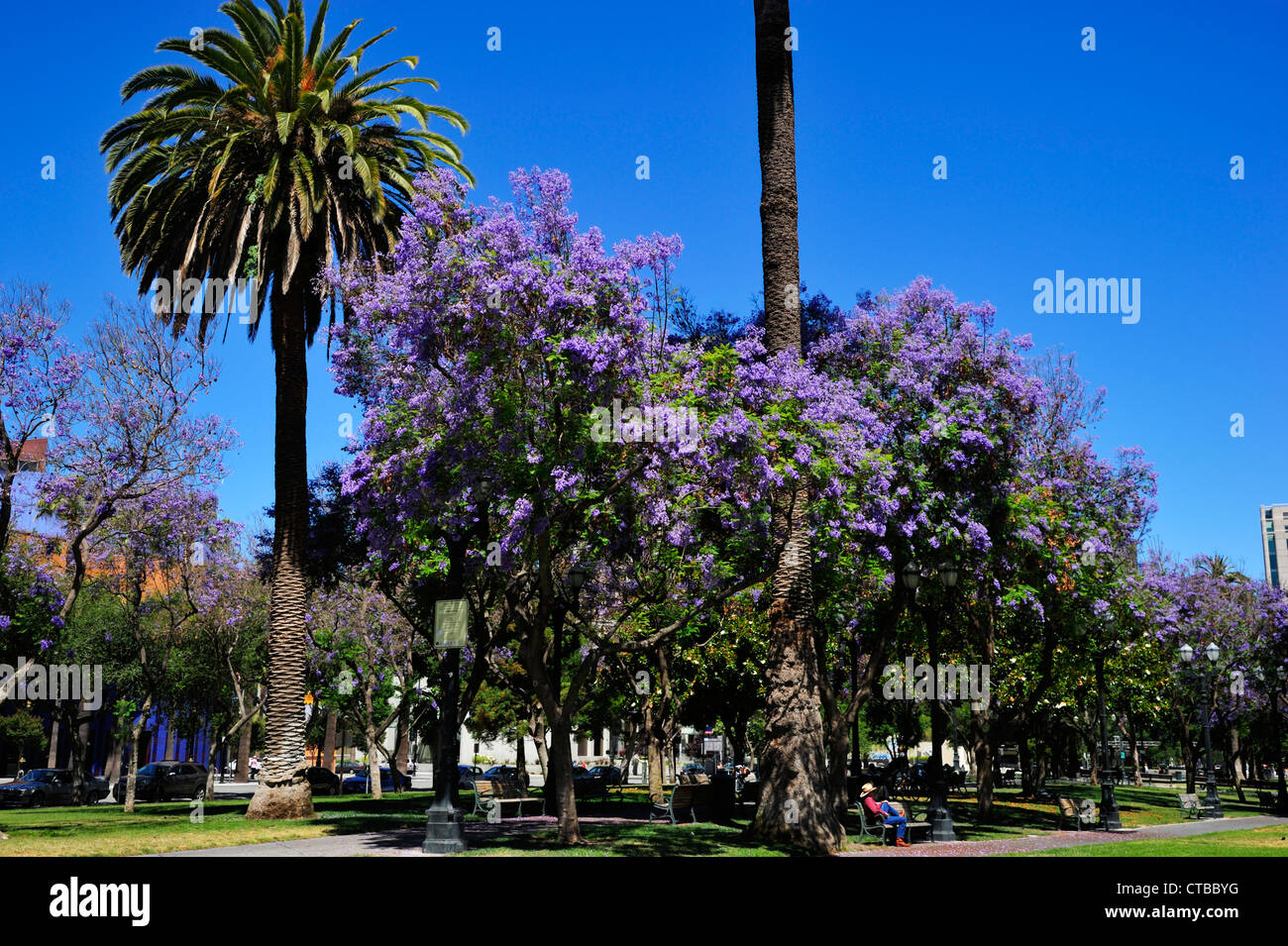 La Plaza de Cesar Chavez all'inizio dell'estate, San Jose CA Foto Stock