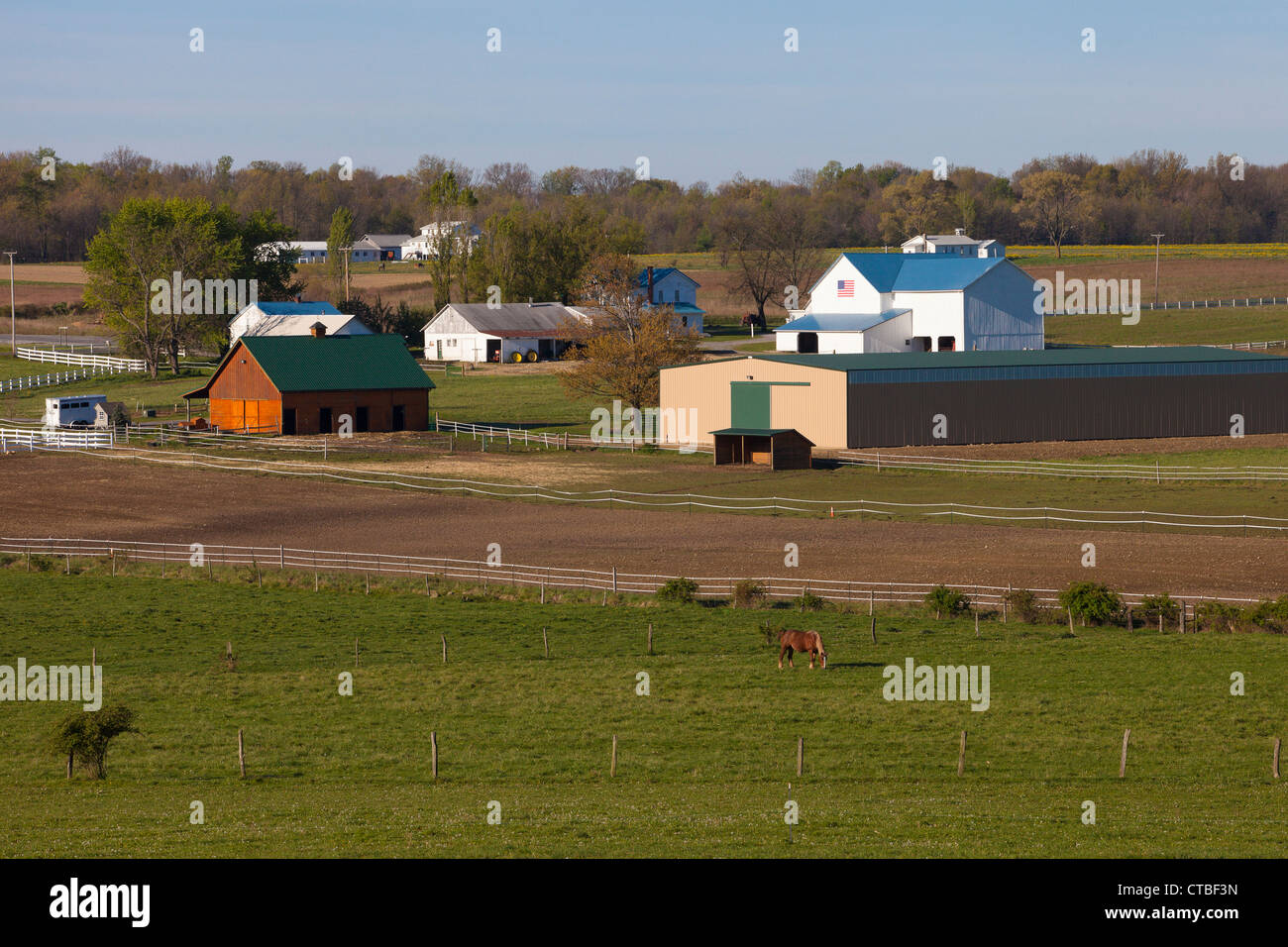 In Pennsylvania farmland in primavera, un amish home è visibile da treeline Foto Stock