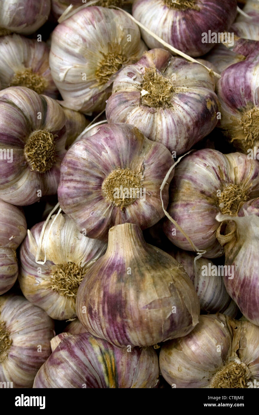 Viola bulbi di aglio sul display su un mercato ortofrutticolo in stallo Foto Stock