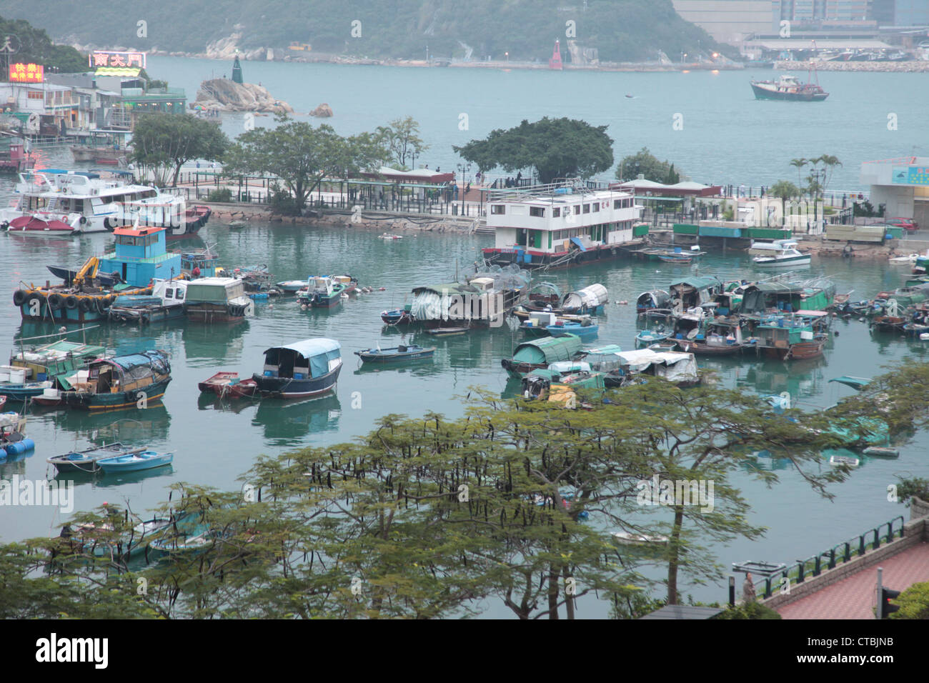 Si tratta di una foto di Yau Tong Villaggio Porto di Hong Kong. Siamo in grado di vedere qualche pesce e imbarcazioni private. Possiamo vedere la strada e gli alberi come ben Foto Stock