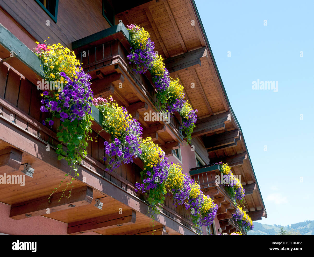 Fiori colorati in scatole su un tipico austriaco casa in stile chalet a Kaprun, Austria Foto Stock