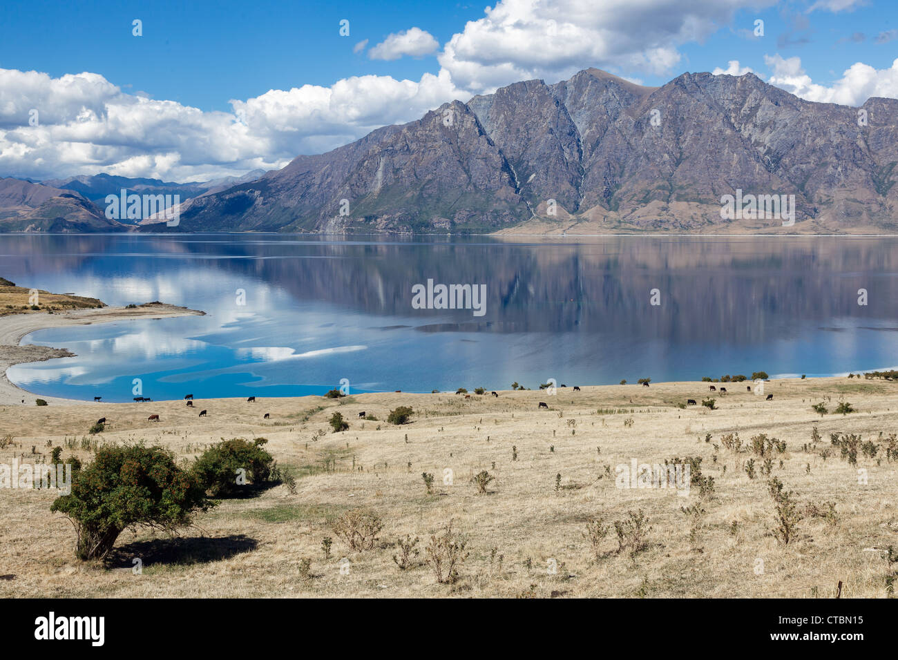 Lake Hawea Foto Stock