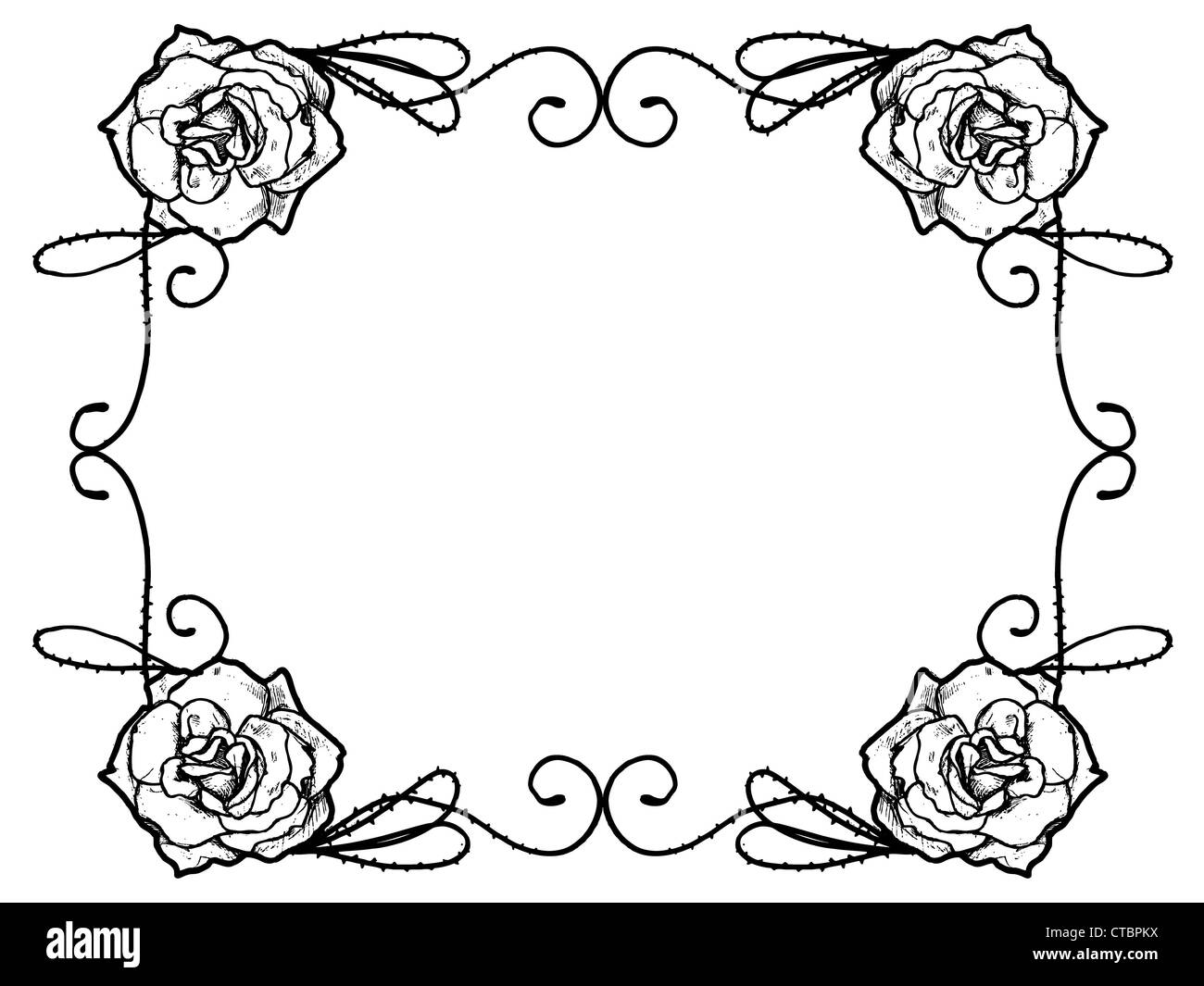 Quattro disegnati a mano rose disposti nel telaio. Foto Stock