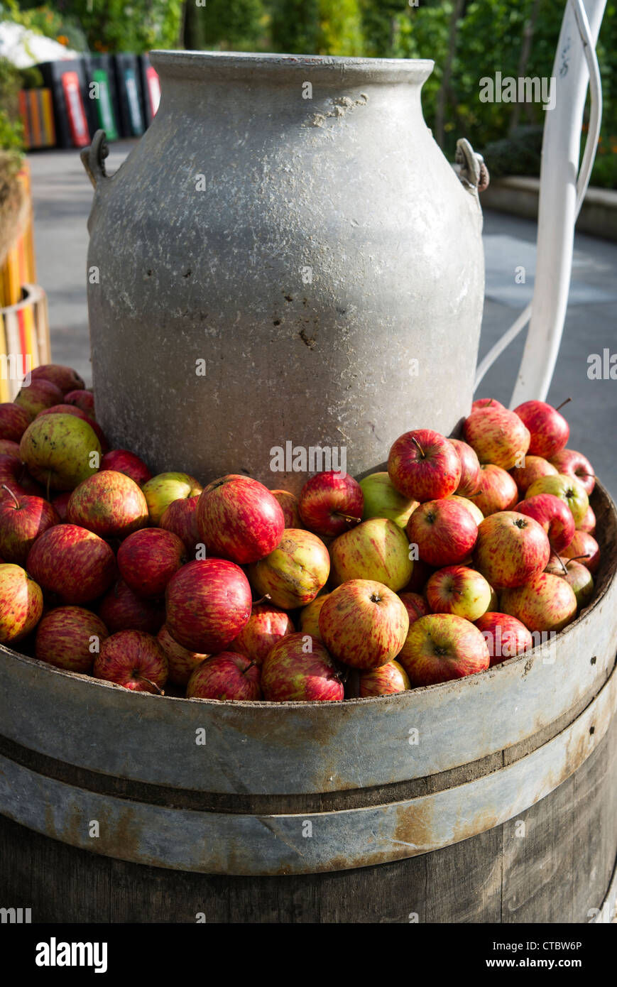 Le mele di canna in attesa di essere premuto per il succo di frutta Foto Stock