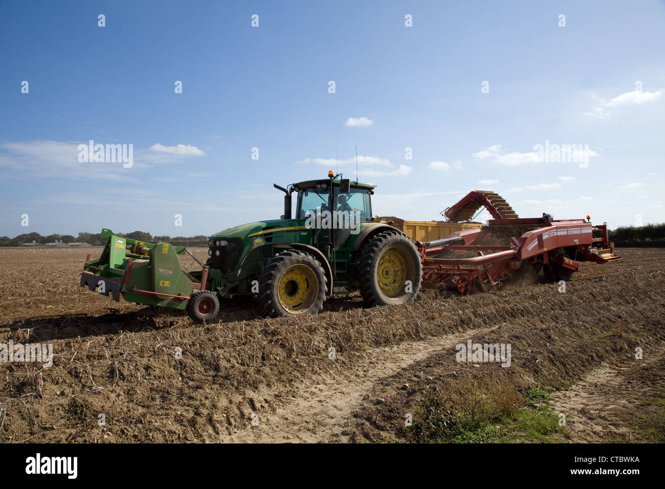 Potato Harvest a Norfolk, Regno Unito. Foto Stock