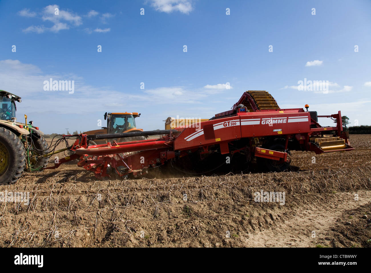 Potato Harvest a Norfolk, Regno Unito. Foto Stock