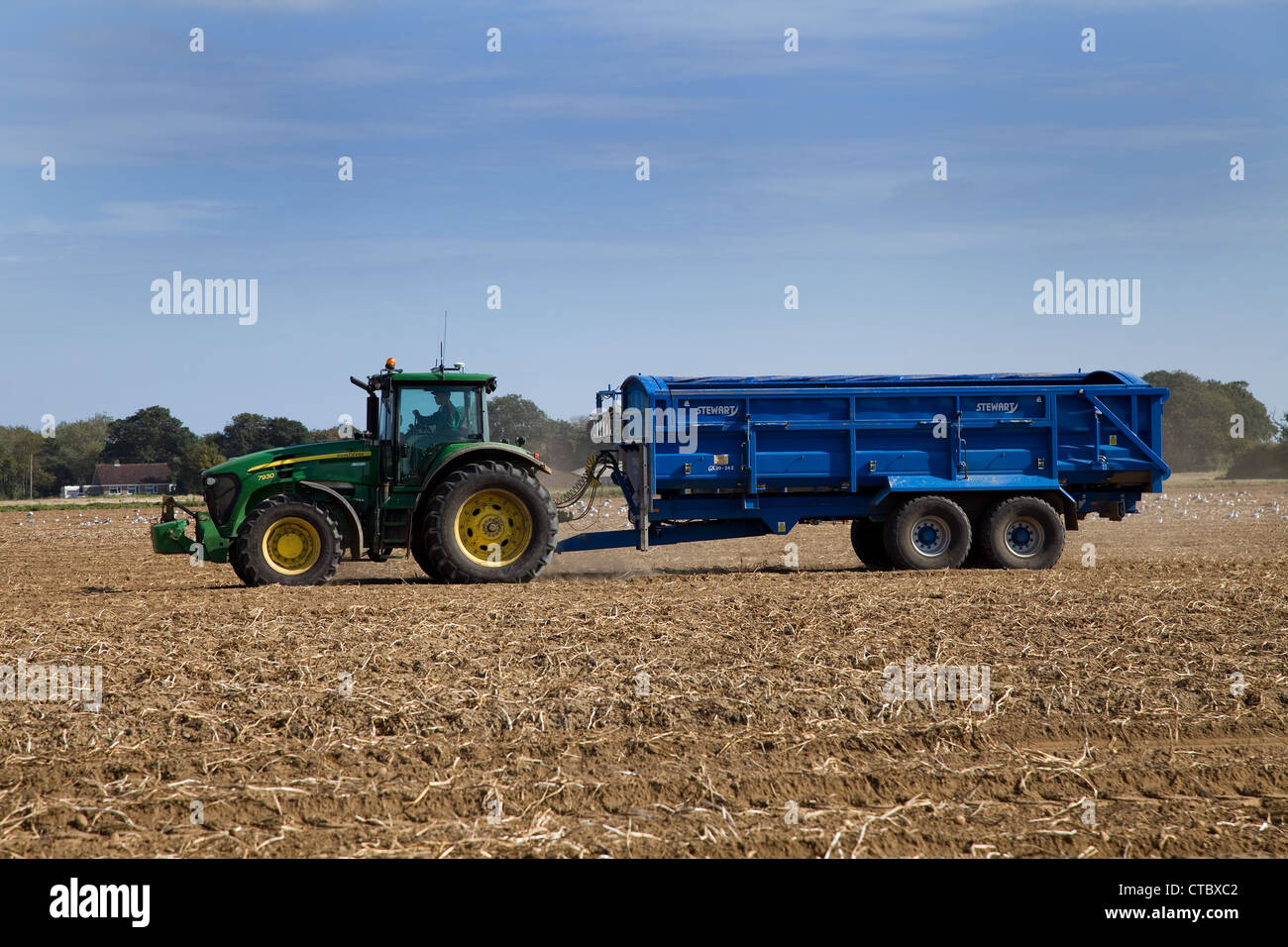 John Deere trattore 7930 & Stewart GX20-24Z rimorchio durante il raccolto di patate in Norfolk su una soleggiata giornata splendente. Foto Stock
