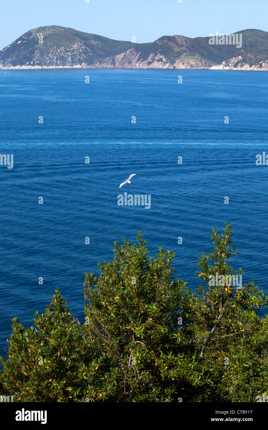 Vista al di sopra del mare blu a Portoferraio, Isola d'Elba, Italia. Foto Stock