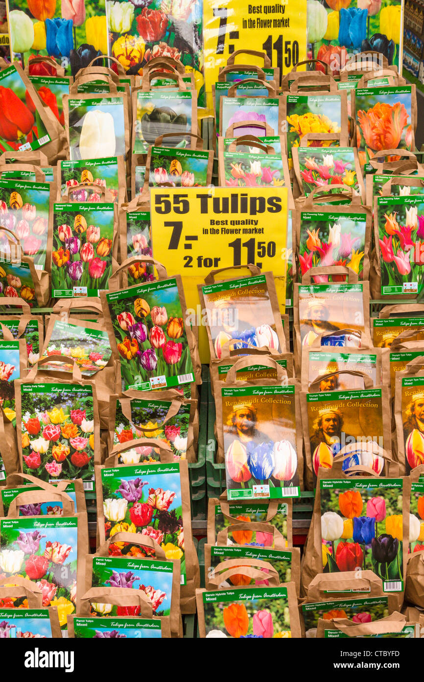 Tulip lampadine per la vendita al mercato dei fiori Foto Stock