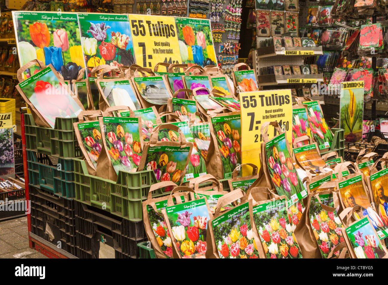 Tulip lampadine per la vendita al mercato dei fiori Foto Stock