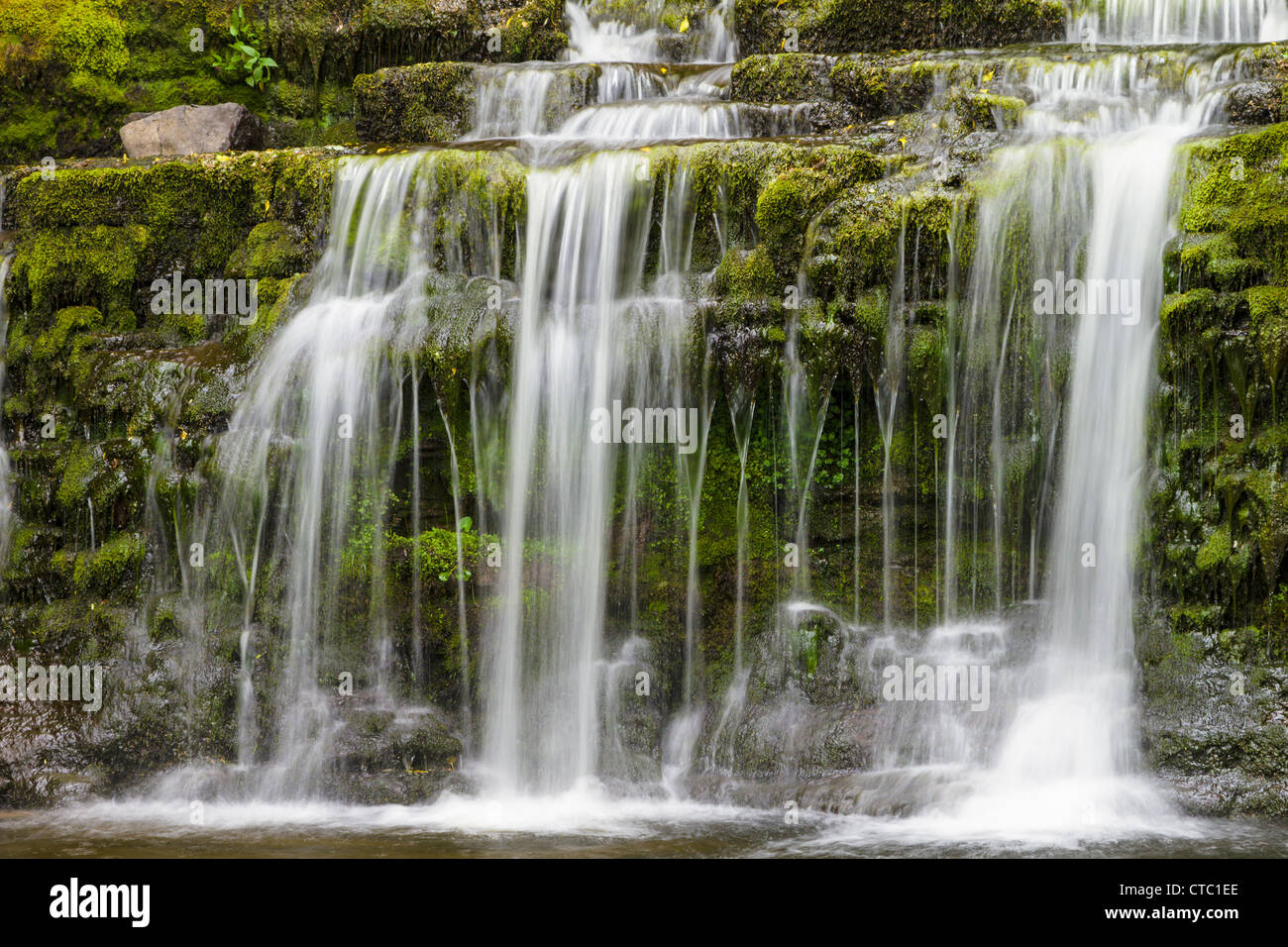 Cascata, Wensleydale, Yorkshire Dales, Inghilterra Foto Stock