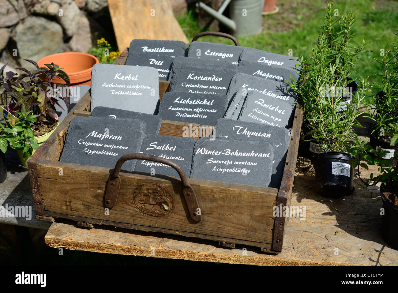 Segni di ardesia recanti i nomi di erbacce da giardino Foto Stock