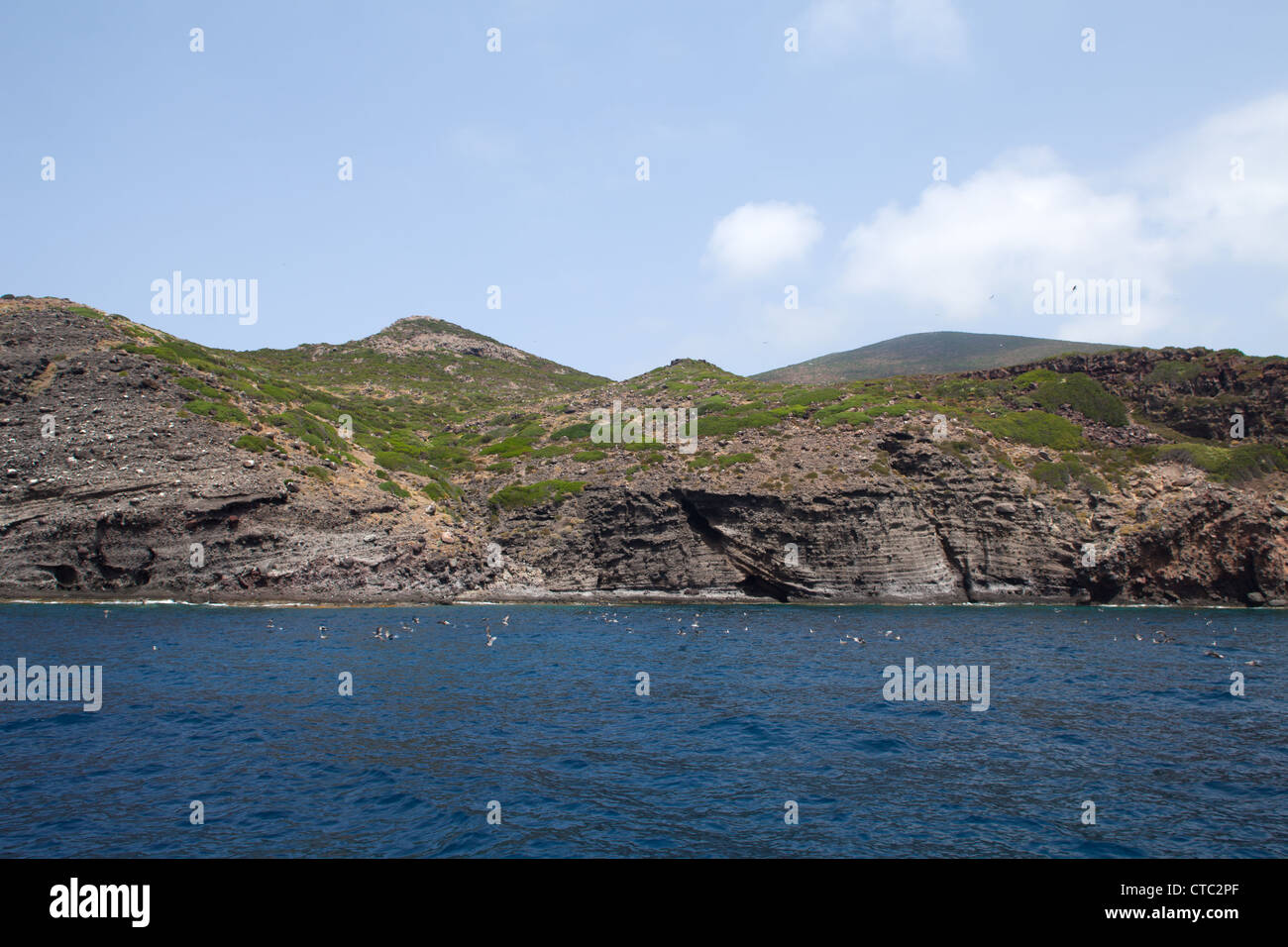 Costa Selvaggia con colonia di gabbiani, Isola di Capraia, Arcipelago Toscano, Italia. Foto Stock