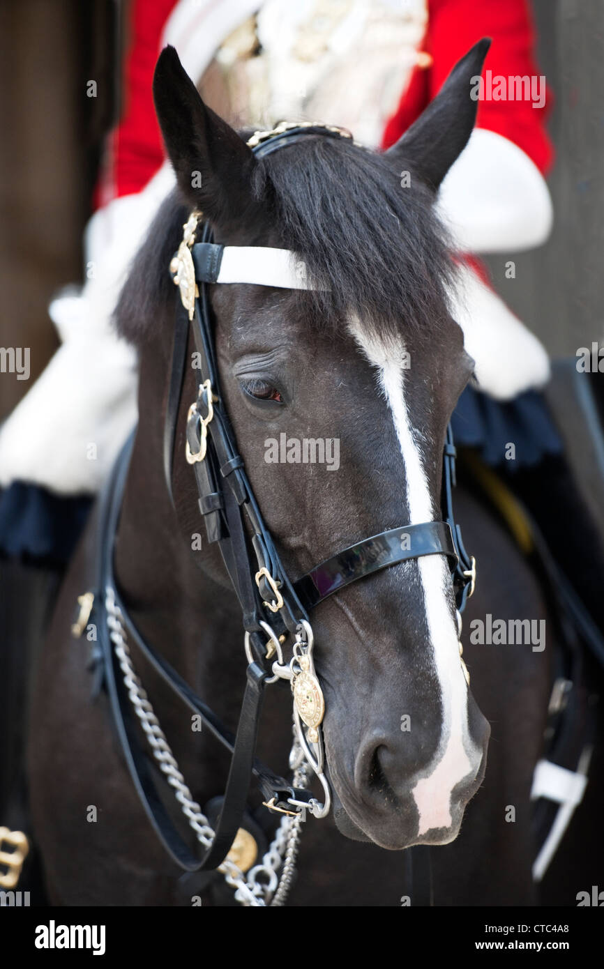 Dettaglio di una vita delle guardie mentre uniforme al di fuori la sfilata delle Guardie a Cavallo, Whitehall, nella città di Londra Foto Stock