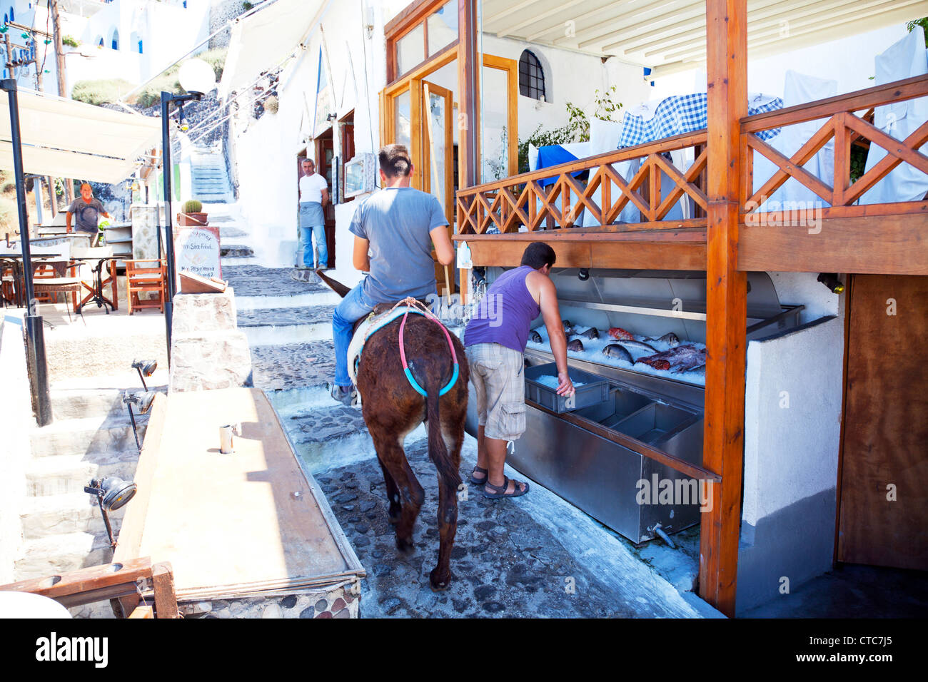 Thira, Santorini, isola greca, la Grecia, l'uomo su donkey salire i gradini stretti passato ristorante la vendita di pesce fresco Foto Stock