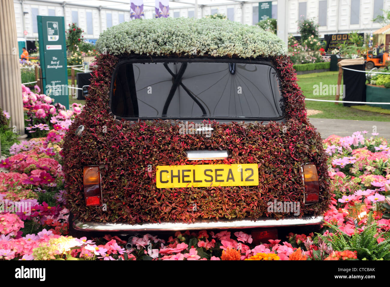 Mini nel migliore dei display di Birmingham, il Chelsea Flower Show 2012 Foto Stock